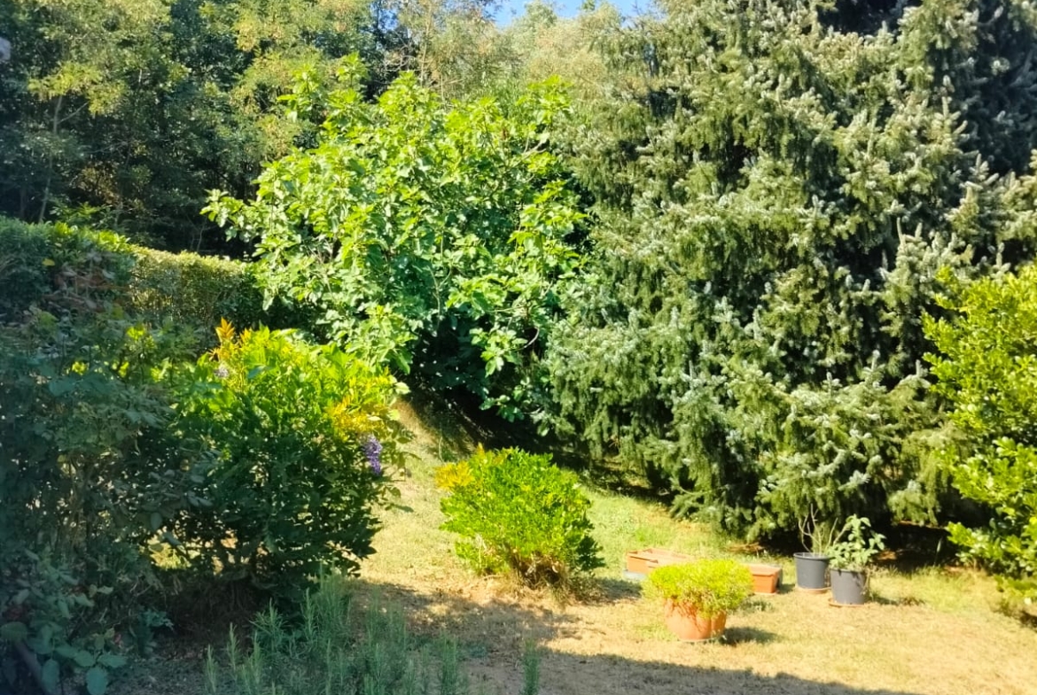 IMG-20260729-WA0007